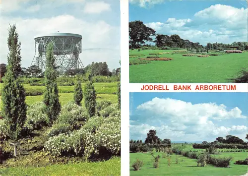 uk36846 jodrell bank arboretum uk lot 8 uk