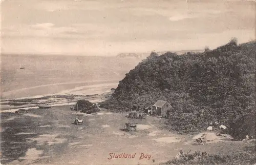 BR81666 Studland Bay UK