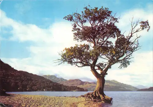 uk35794 bonnie banks of loch lomond scotland uk lot 3 uk