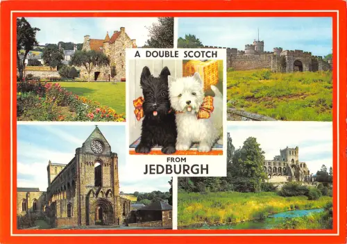 uk35748 double scotch jedburgh scotland uk lot 3 uk