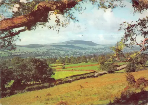 uk36009 penhill leyburn schal wensleydale yorkshire uk lot 4 uk