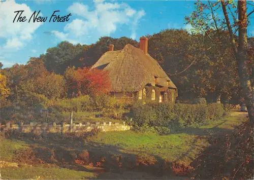 uk35933 the new forest uk lot 4 uk