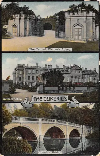 uk38518 the dukeries uk lot 17 uk