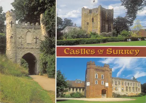 uk36615 castles of surrey uk lot 2 uk