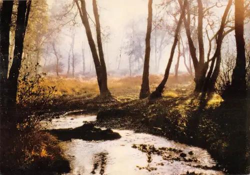 uk36060 sherbrook valley cannock chase uk lot 5 uk