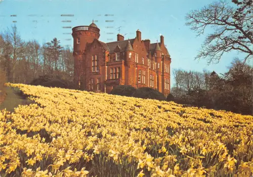 uk36365 daffodil bank threave gardens scotland uk lot 6 uk