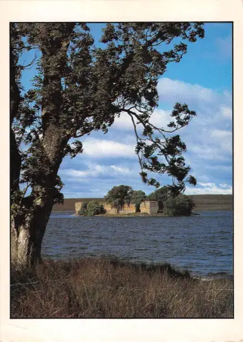 uk36408 loch dorb morayshire scotland uk lot 6 uk