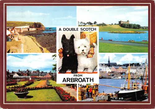 uk36303 double scotch from arbroath scotland uk lot 6 uk