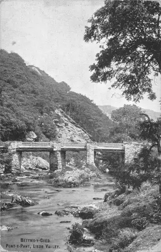 uk39119 pont y pant lieder valley betws y coed wales echtfoto uk lot 20 uk
