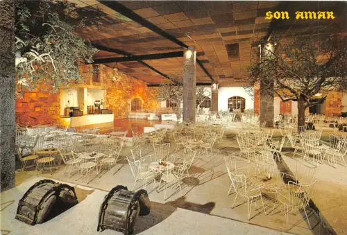 Lot 41 Spanien Mallorca Restaurant Predio Son Amar Tanzsaal Grill