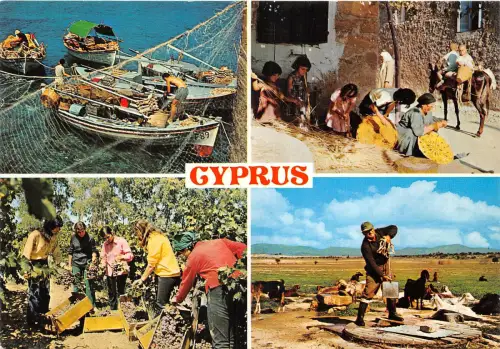 Lot 8 Zypern Arten Folklore Angeln Ernte Trauben bewässerte Schafe