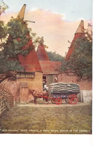 uk40215 Hopfenpflücken Osthäuser UK Maidstone Kent Landwirtschaft Ernte