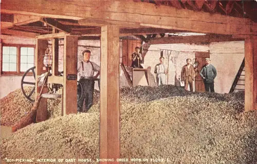 uk40216 Hopfenpflücken Innenbereich der Osthäuser UK Maidstone Kent Landwirtschaft Ernte