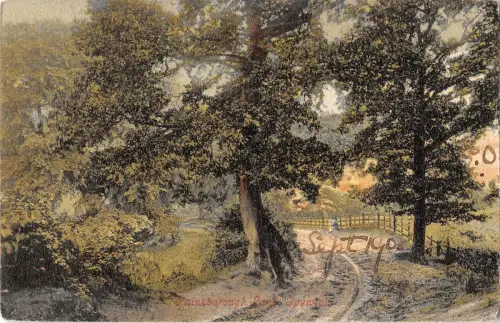 BR81675 ipswich gainsborough land uk