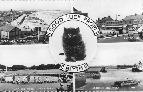 uk37242 good luck from blyth real photo uk lot 10 uk