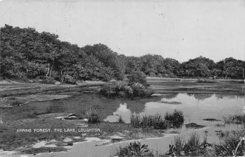 uk37761 epping forest the lake loughton real photo uk lot 8 uk