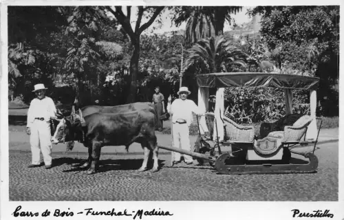 Lot 51 Funchal Madeira Ochsenkarre Portugal Echtfoto Typen Folklore