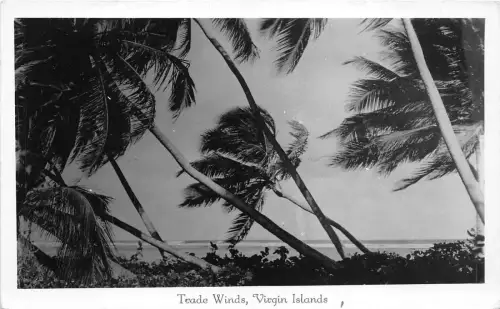 B86269 Trade Winds St Thomas Virgin Islands Karibik