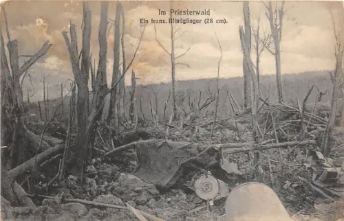 BC60776 Im Priesterwald Ein franz Blindgänger france