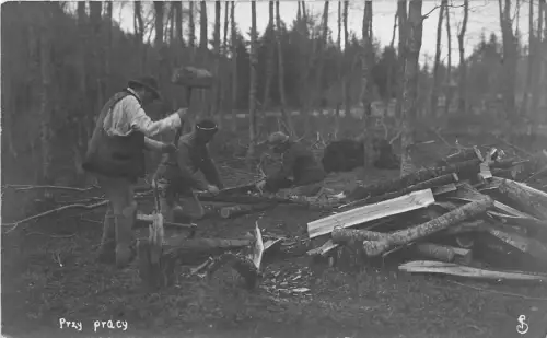 BC60909 Przy Pracy At Work Polen