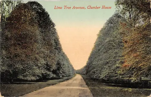 uk37288 lime tree avenue clumber house uk lot 11 uk