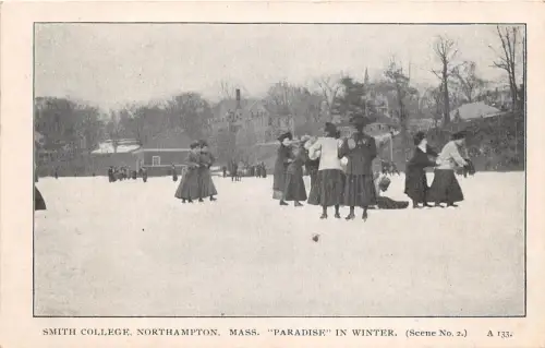 Lot329 Smith College Northampton Paradise in Winter Mass USA