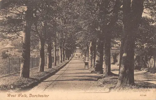 BR81578 west walk dorchester uk