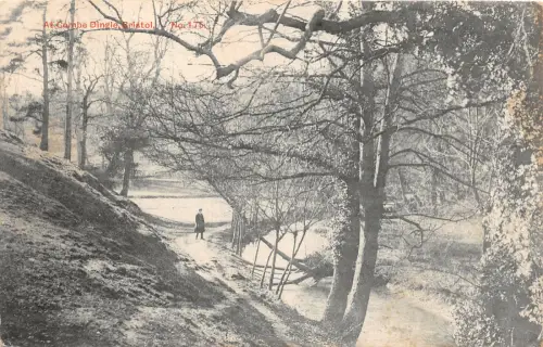 uk41474 combe dingle bristol echtfoto uk