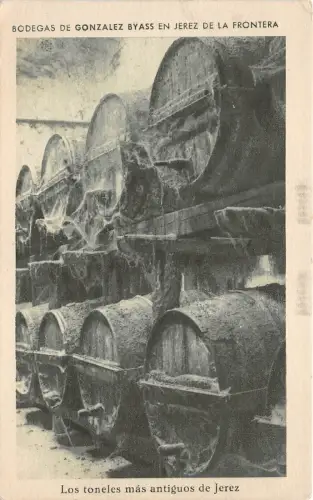 B92982 bodegas de gonzalez byass los toneles antigos Jerez de la Frontera Spanien