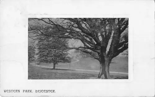 uk38087 western park leicester echtfoto uk lot 14 uk