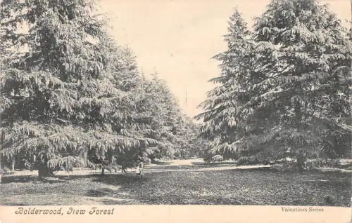 uk37616 bolderwood new forest real photo uk lot 12 uk