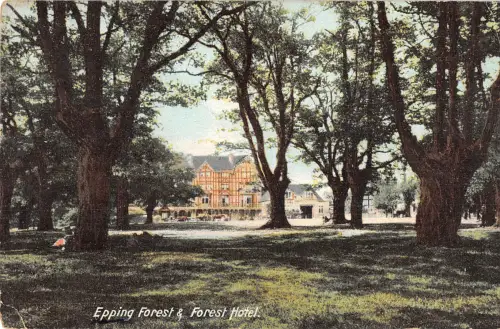 uk38048 epping forest forest hotel uk lot 14 uk london