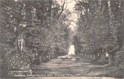 uk37813 avenue somerleyton hall real photo uk lot 13 uk