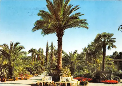 BG9810 Weltbad Pyrmont Palmengarten Germany