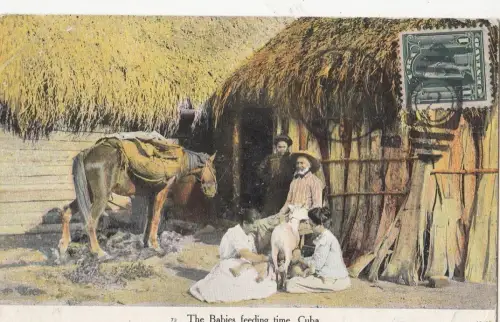 B78132 The Babys Feed Time Pferd Ziege Kind Folkl Mittelamerika
