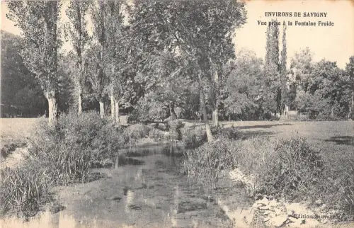 BF6059 Savigny Vue Prise a la Fontaine Froide Frankreich Frankreich