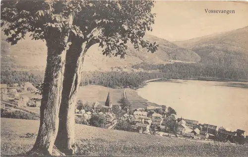 B92504 vossevangen norwegen