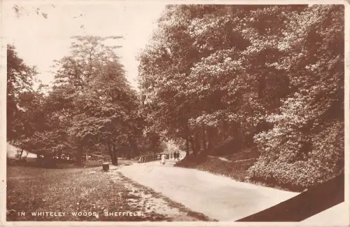 BR99563 in Whiteley Woods Sheffields Echtfoto UK