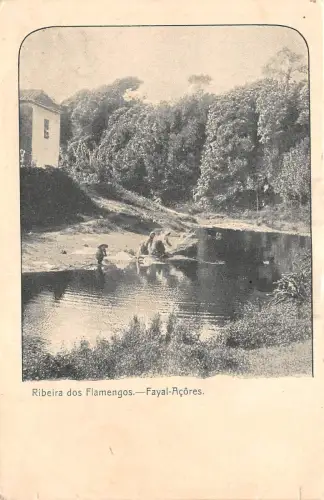 B92672 ribeira dos flamengos fayal acores azore portugal