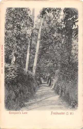 BR81526 Tennyson S Lane Freshwater Isle of Wight UK