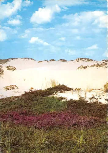 B35902 Sylt Insel Nordsee Germany