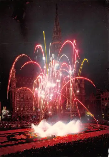 BR4079 Bruxelles Grand Place tapis de fleurs belgien