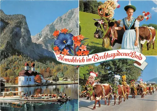 B35326 Almabtrieb Uber den Königssee Watzmannostwand Germany