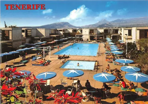 BG6072 Canarias Costa del Silencio Drago Tenerife Spanien