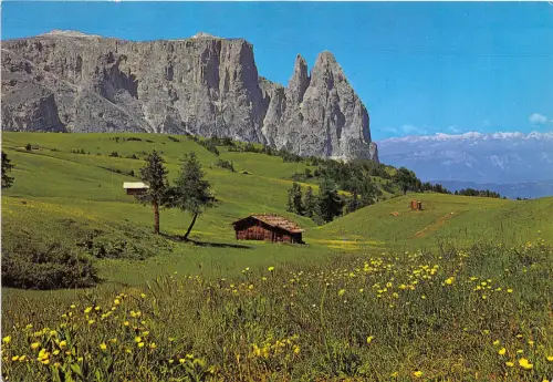 BG17883 Dolomiti Alpe di Suisi lo Schlern Gruppe Italien
