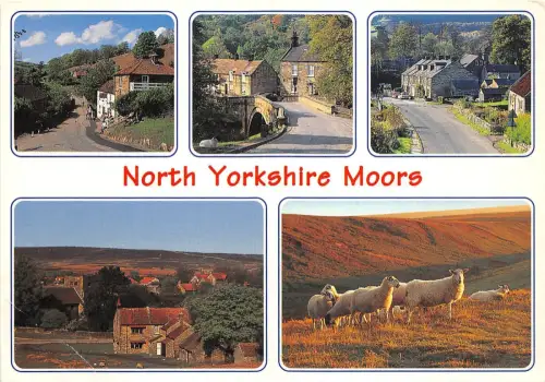 BT17787 North Yorkshire Moors Schiff Mouton UK