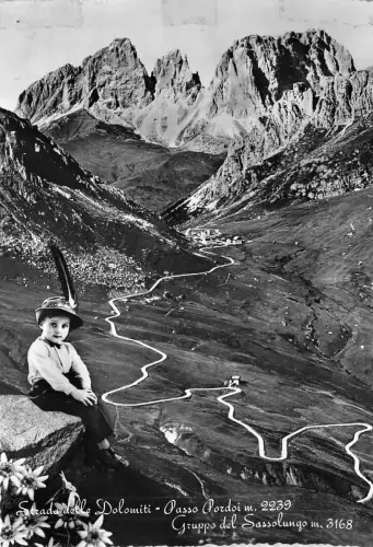 B47650 Strada delle Dolomiti Passo Pardoi Italien
