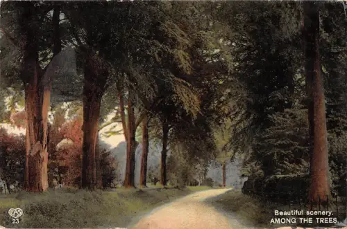 BR80785 schöne Landschaft zwischen Bäumen UK