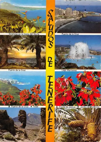 BG6113 saludos de tenerife puerto de la cruz lago martianez spanien