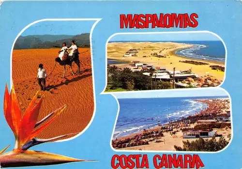 B33126 Maspalomas Costa Canaria Spanien